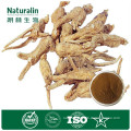 100% Natural Angelica sinensis extract powder for women health